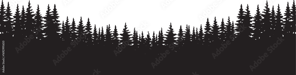 Obraz premium Silhouette of a dense forest of pine trees on a white background evergreen