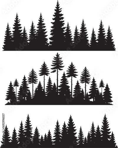 A dense silhouette of evergreen trees creates a natural forest landscape seamlessly