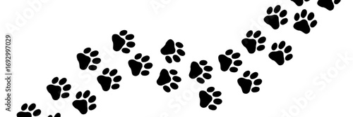 Paw print and cat footprint pattern with puppy track for a pet vector background or animal icon design. This cute illustration features bear and tiger silhouettes with animal step traces, perfect for 