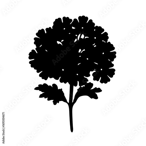 Black silhouette of flowering plant, botanical illustration, floral design element, garden flower art