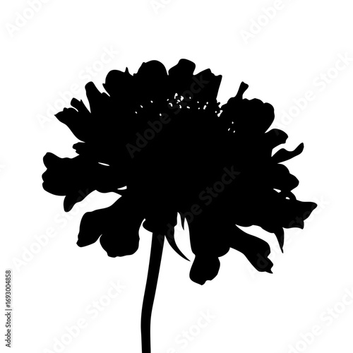 Black and white flower silhouette vector illustration for graphic design and decoration needs design