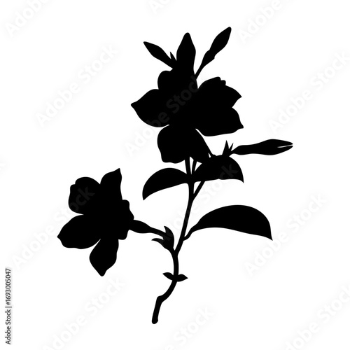 Download black silhouette of jasmine flower vector illustration floral design element for art