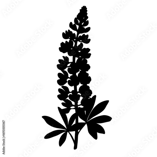 Download black lupine flower silhouette vector illustration for botanical design and artwork needs