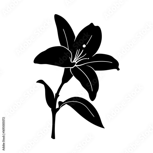 Download black and white lily flower vector illustration botanical floral design element art graphic