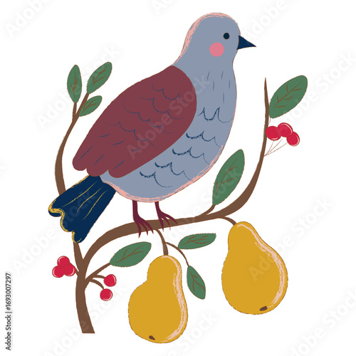 Festive illustration of a partridge perched on a branch with pears and berries, from the Christmas carol. Vector art