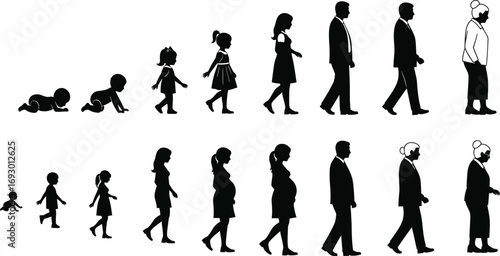 Human life stages silhouette set from infancy to old age for education, biology, aging process, and black-and-white vector design