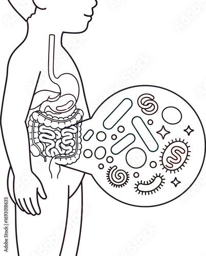 Illustration of a child's digestive system and gut microbiome, depicting healthy bacteria.