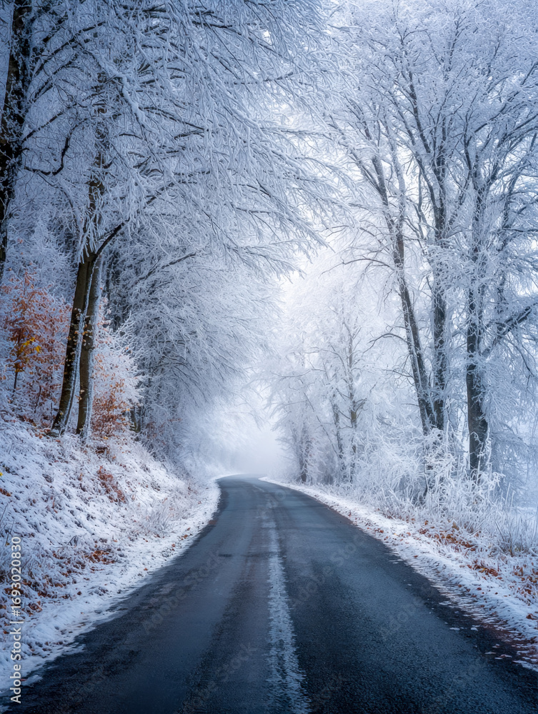 Fototapeta premium Serene winter forest road shrouded in snow and mist