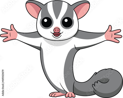 Cute cartoon sugar glider with big eyes and outstretched arms, adorable gray and white marsupial, happy wildlife character vector illustration.