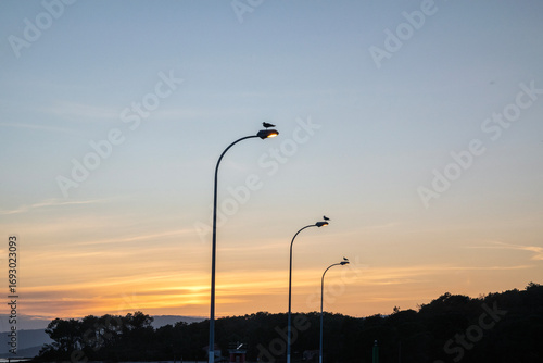 Tres gaviotas, tres farolas