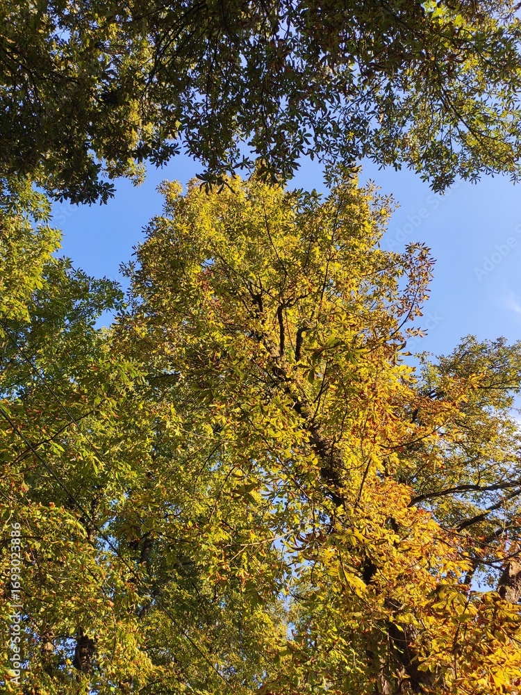 Fototapeta premium Beautiful nature photos