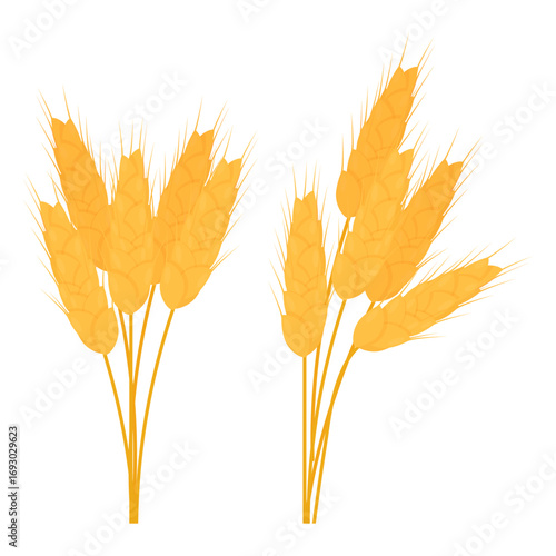 Golden ripe ears of wheat are collected in a composition