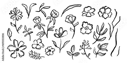 Abstract ink floral botany elements in doodle style. Drawing drawing wild plants and flowers. Hand drawn botanical illustrations.