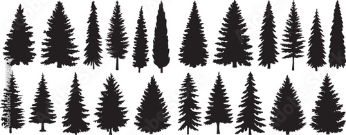 Silhouette of Evergreen Trees Set on White Background,Pine fir tree tall tree isolated premium vector image, black and white tree silhouettes,coniferous trees, pine trees,fir trees silhouettes set