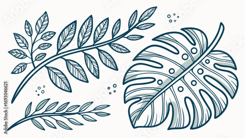Botanical Illustration  Stylized Leaves and Branches with Line Detail vector.