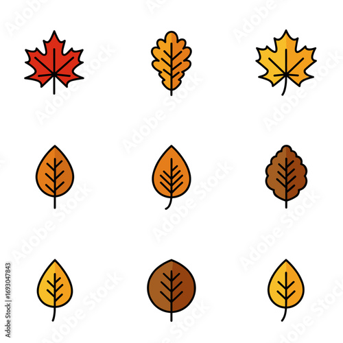 Colorful autumn leaves in various shapes and sizes on white background  
