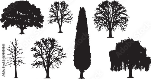 Silhouettes of Various Deciduous and Evergreen Trees black on a transparent background