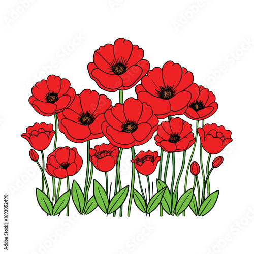 Vibrant red poppy field with subtle shading on a clean white background banner