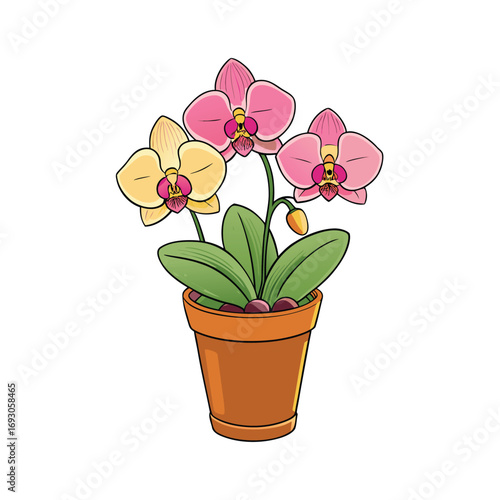 Elegant decorative orchid flower arrangement in a pot on a clean white background