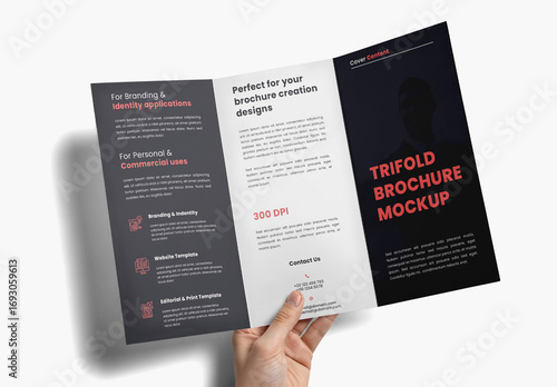 Hand Holding Tri-Fold Brochure