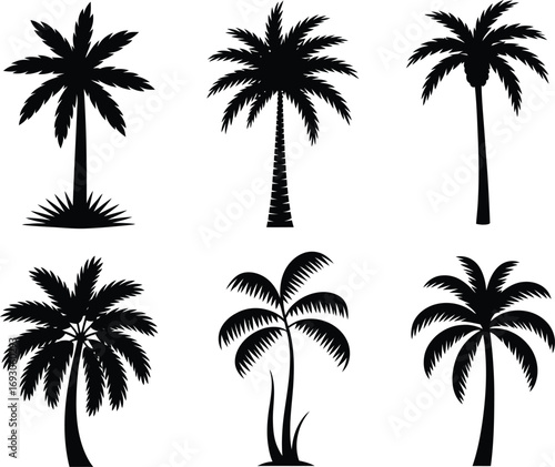 Collection of silhouetted palm trees on a white background