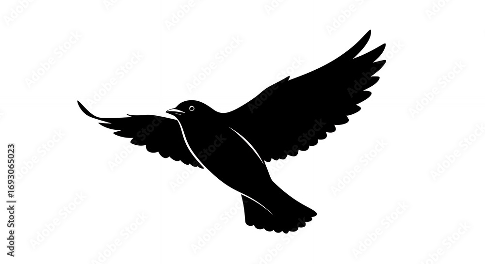Silhouette of bird in flight