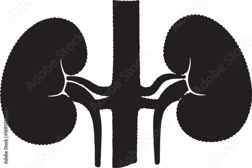 Kidneys intestine icon in silhouette with dots style white background.