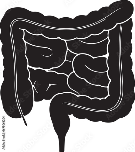 Large intestine icon in silhouette with dots style white background.