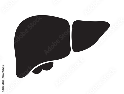 Liver icon in silhouette with dots style white background.
