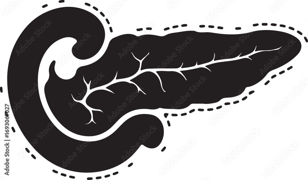 Obraz premium Pancreas icon in silhouette with dots style white background.