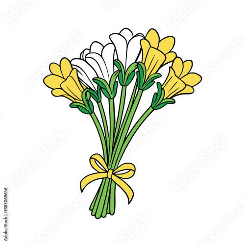 Elegant freesia flower bouquet tied with a decorative ribbon on a clean white background