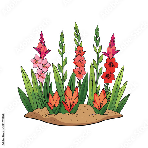 Beautiful gladiolus flower in a lush garden setting on a clean white background
