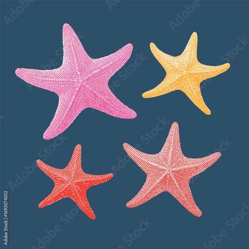 Star fish, star fish vector, star fish illustration, line drawing on blue background.