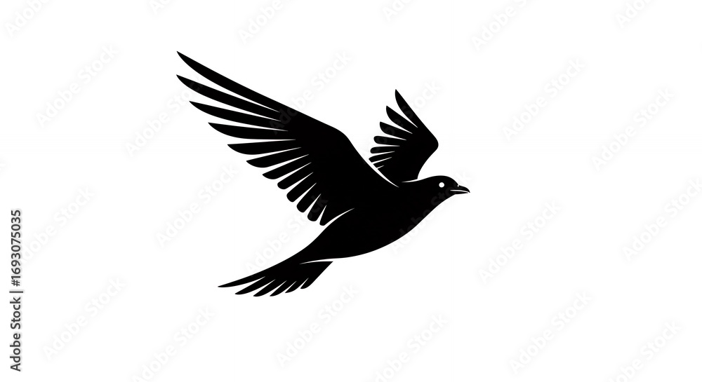 Obraz premium Silhouette of a bird in flight