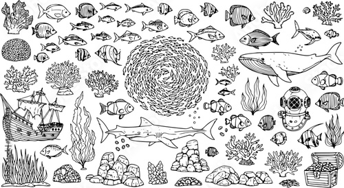 Set of Fish on White Background. Large Vector Collection of Underwater Marine Elements and Ocean Creation Kit