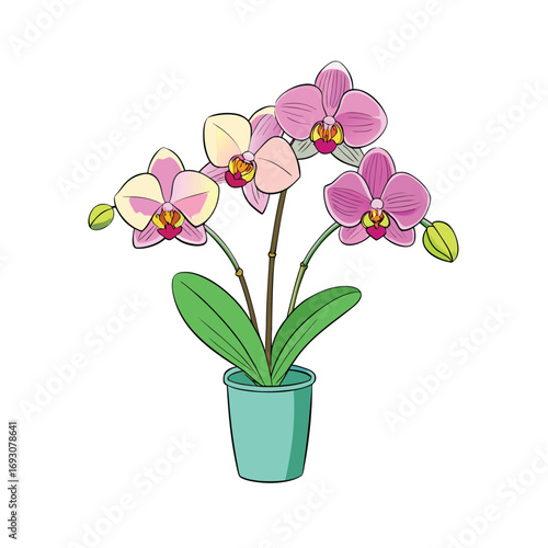 Three elegant orchids in a modern white vase on a clean white background