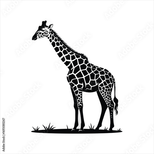 Elegant Giraffe Silhouette Vector Graphic for Wildlife Art and Safari Themed Designs Representing African Fauna and Nature's Graceful Giants in a Stylized Black and White Illustration