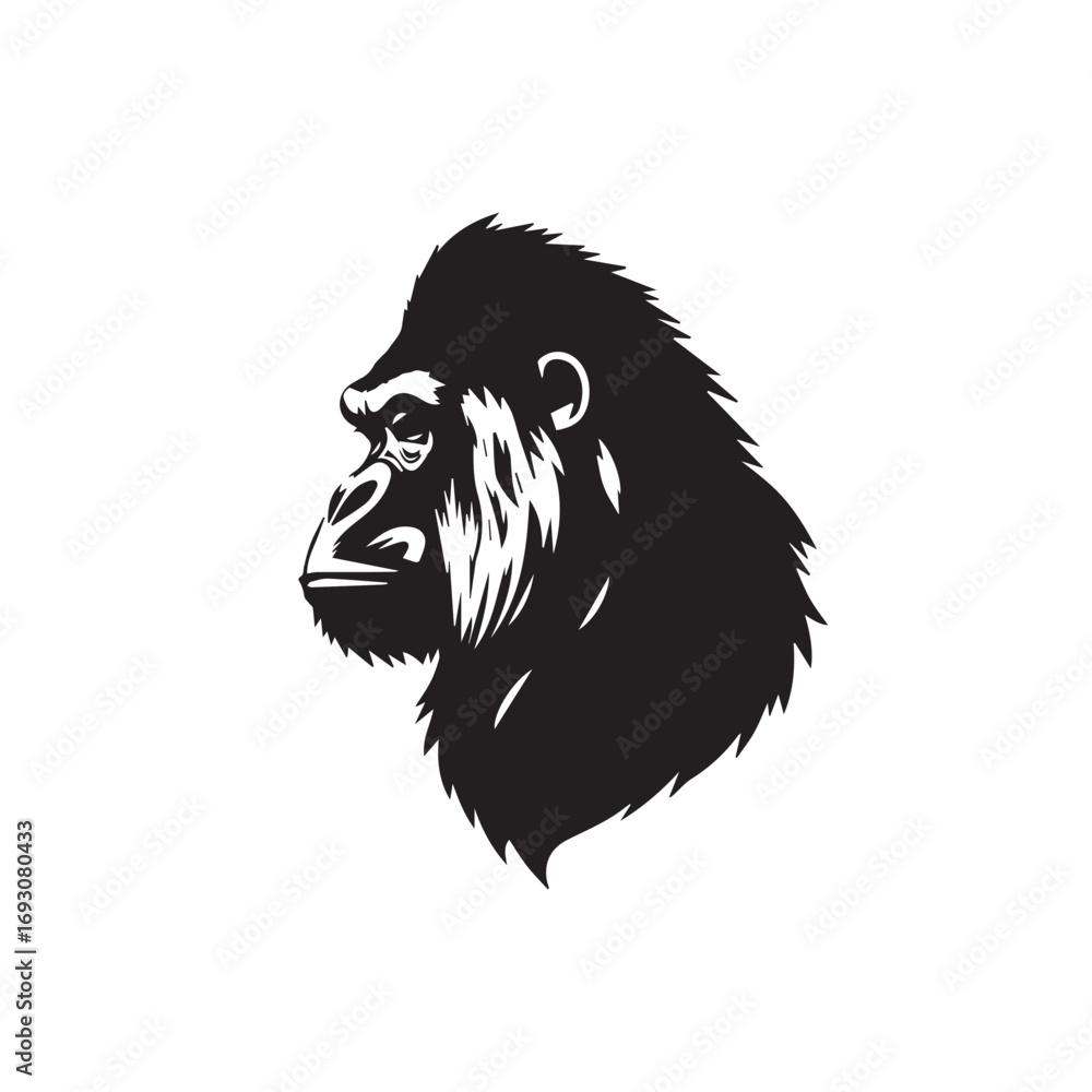 Fototapeta premium Gorilla's Head Silhouette on White Background. Black and White Illustration of a Gorilla's head. 