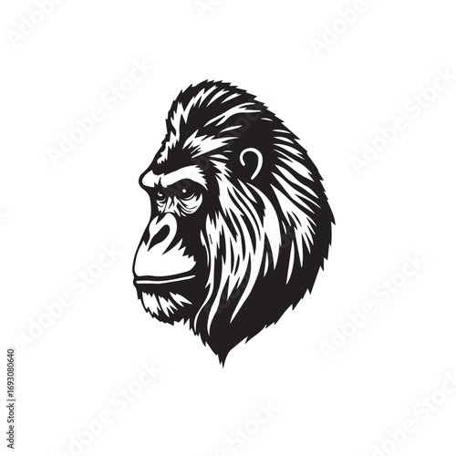 Gorilla's Head Silhouette on White Background. Black and White Illustration of a Gorilla's head. 