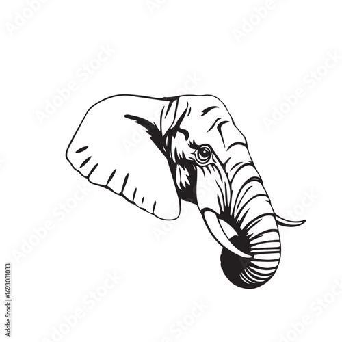 Elephant's Head on White Background. Black and White Illustration of an Elephant's Head.
