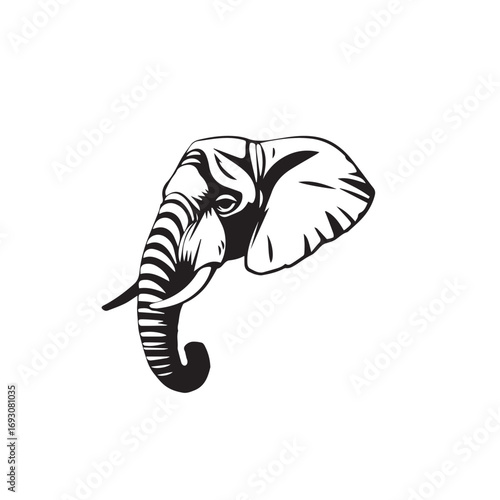 Elephant's Head on White Background. Black and White Illustration of an Elephant's Head.
