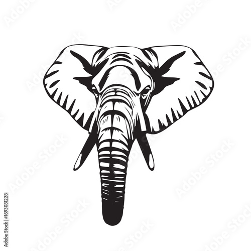Elephant's Head on White Background. Black and White Illustration of an Elephant's Head.