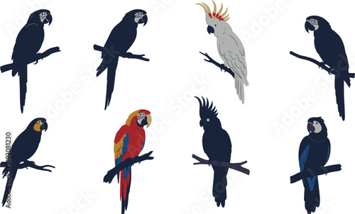 parrot silhouettes vector illustration, tropical exotic birds on branches, colorful macaw cockatoo clipart artwork for designs