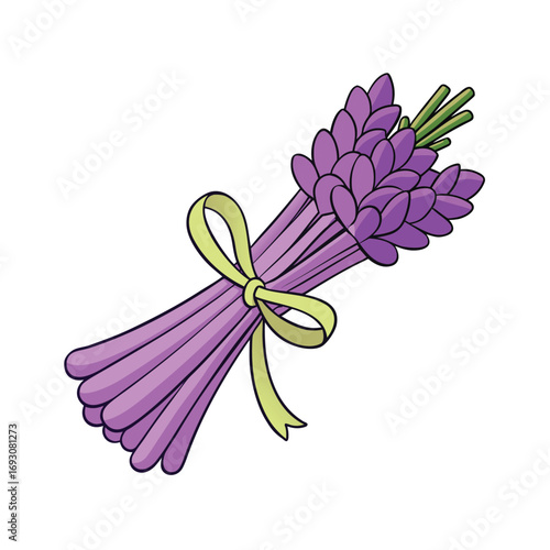 Purple lavender bundle tied with a decorative ribbon on a clean white background
