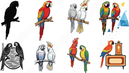 colorful parrot vector illustration, exotic tropical birds on branches, cockatoo macaw artwork, nature design clipart collection