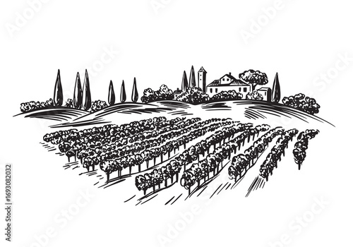 Vineyard landscape with building on the hill hand drawn.