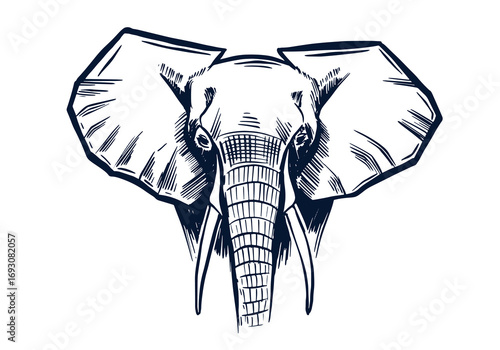 Elephant, hand drawn illustrations.