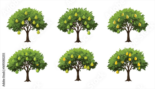 Pear tree illustration collection with ripe fruits, natural orchard design, organic farming concept, green foliage, agriculture background