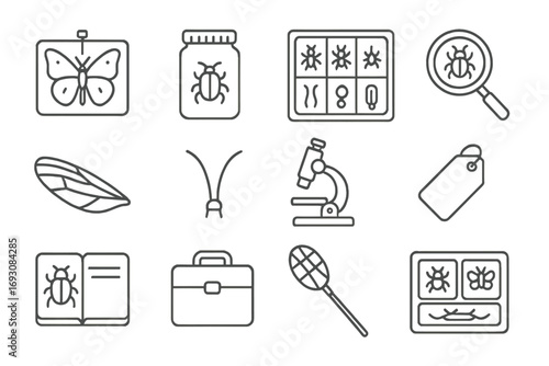 Entomology Tools Icons. Line style icons of entomology elements: pinned butterfly, insect jar, specimen tray, magnifying glass;
