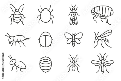 Micro Insect Icons. Line style icons of micro insects: aphid, mite, thrips, flea; springtail, tiny beetle, whitefly, fungus gnat;